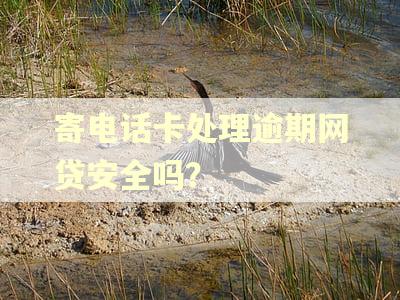 寄电话卡处理逾期网贷安全吗？