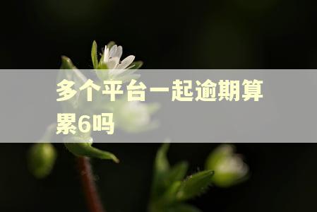 多个平台一起逾期算累6吗