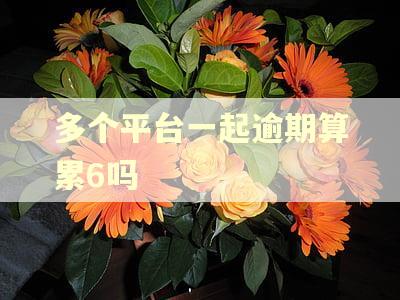 多个平台一起逾期算累6吗