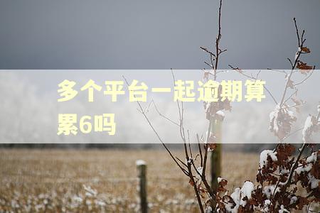 多个平台一起逾期算累6吗