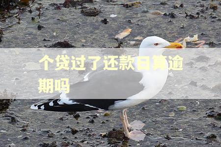 个贷过了还款日算逾期吗