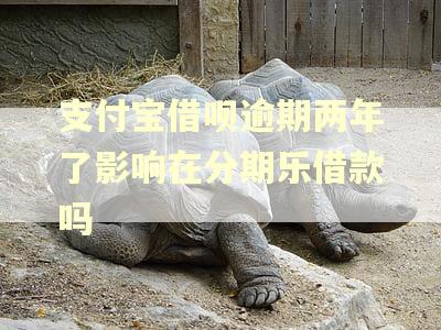 支付宝借呗逾期两年了影响在分期乐借款吗 支付宝借呗逾期两年了影响在分期乐借款吗