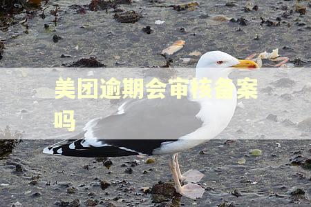 美团逾期会审核备案吗
