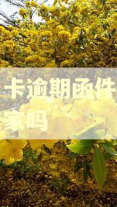 信用卡逾期函件会寄到老家吗