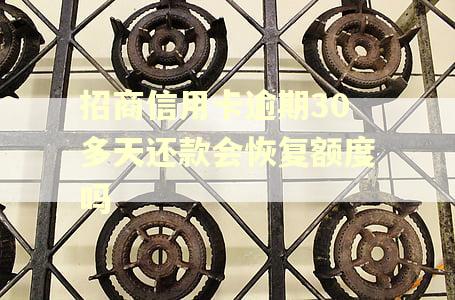 招商信用卡逾期30多天还款会恢复额度吗 招商信用卡逾期30多天还款会恢复额度吗