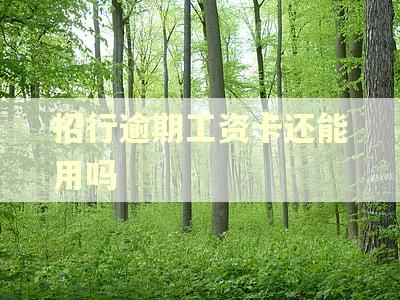 招行逾期工资卡还能用吗 招行逾期工资卡还能用吗