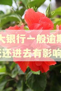 广大银行一般逾期了7天还进去有影响吗