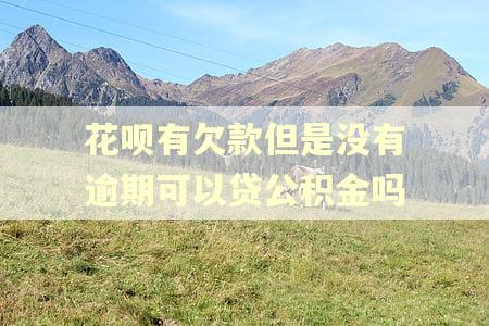 花呗有欠款但是没有逾期可以贷公积金吗