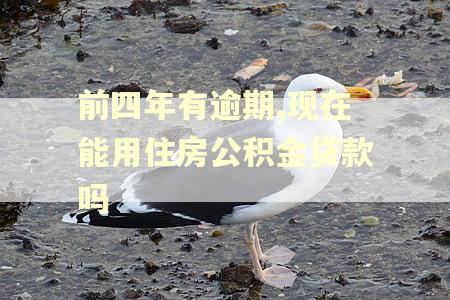 前四年有逾期,现在能用住房公积金贷款吗