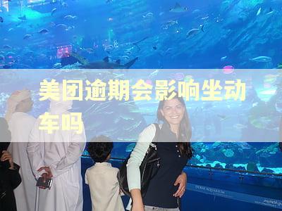 美团逾期会影响坐动车吗 美团逾期会影响坐动车吗