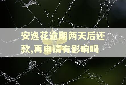 安逸花逾期两天后还款,再申请有影响吗