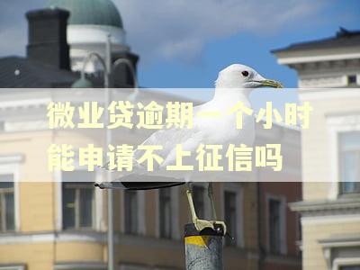 微业贷逾期一个小时能申请不上征信吗