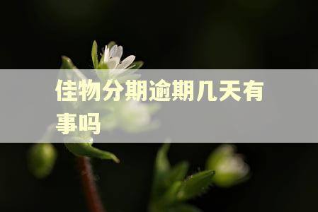佳物分期逾期几天有事吗