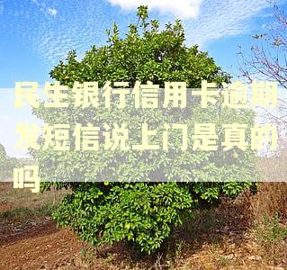 民生银行信用卡逾期发短信说上门是真的吗 民生银行信用卡逾期发短信说上门是真的吗