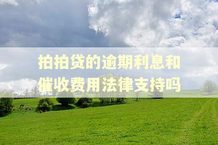 拍拍贷的逾期利息和催收费用法律支持吗