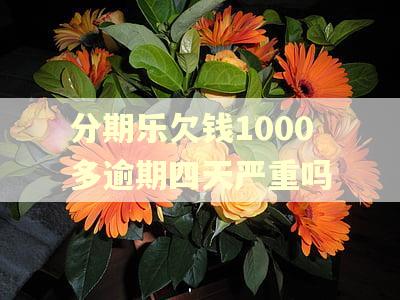 分期乐欠钱1000多逾期四天严重吗 分期乐欠钱1000多逾期四天严重吗