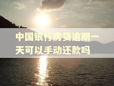 中国银行房贷逾期一天可以手动还款吗