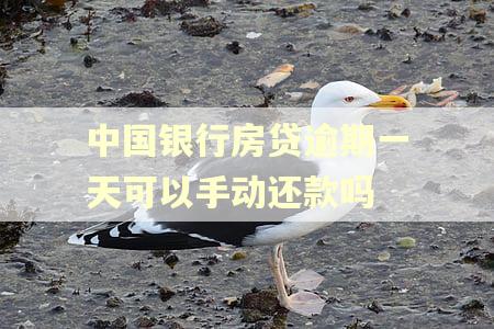 中国银行房贷逾期一天可以手动还款吗
