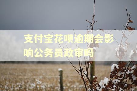 支付宝花呗逾期会影响公务员政审吗