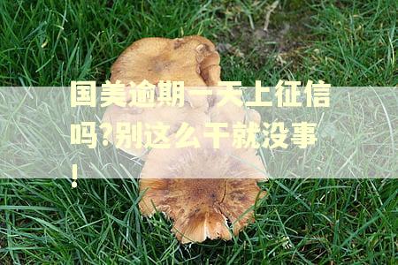 国美逾期一天上征信吗?别这么干就没事!