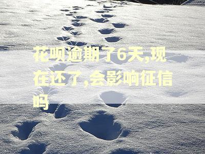 花呗逾期了6天,现在还了,会影响征信吗