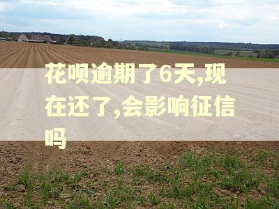 花呗逾期了6天,现在还了,会影响征信吗