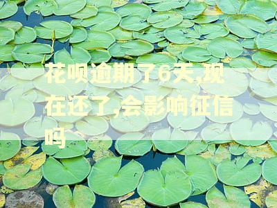 花呗逾期了6天,现在还了,会影响征信吗