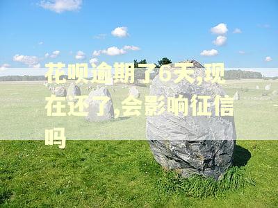 花呗逾期了6天,现在还了,会影响征信吗