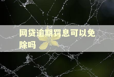网贷逾期罚息可以免除吗