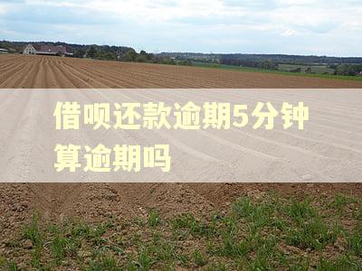 借呗还款逾期5分钟算逾期吗