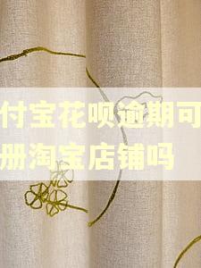 支付宝花呗逾期可以注册淘宝店铺吗