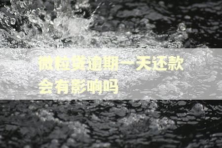 微粒贷逾期一天还款会有影响吗
