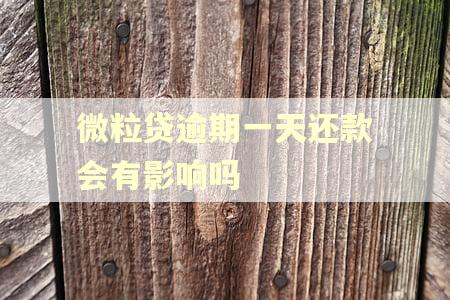 微粒贷逾期一天还款会有影响吗 微粒贷逾期一天还款会有影响吗