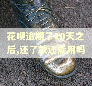 花呗逾期了10天之后,还了款还能用吗