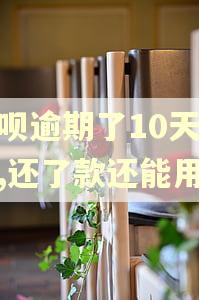花呗逾期了10天之后,还了款还能用吗