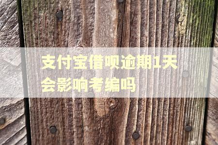 支付宝借呗逾期1天会影响考编吗
