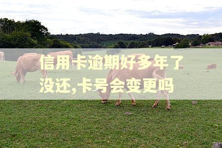 信用卡逾期好多年了没还,卡号会变更吗