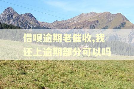 借呗逾期老催收,我还上逾期部分可以吗
