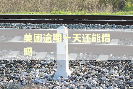 美团逾期一天还能借吗
