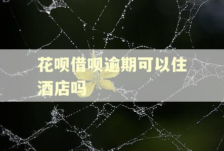 花呗借呗逾期可以住酒店吗