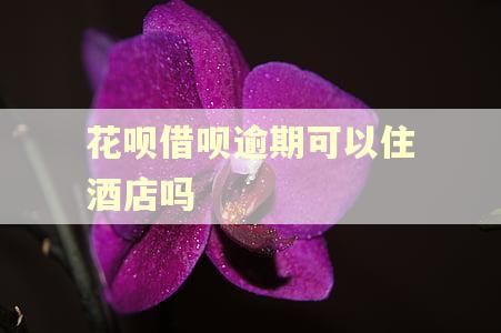 花呗借呗逾期可以住酒店吗 花呗借呗逾期可以住酒店吗