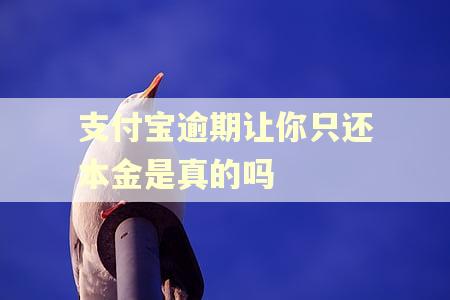 支付宝逾期让你只还本金是真的吗