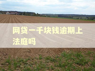 网贷一千块钱逾期上法庭吗