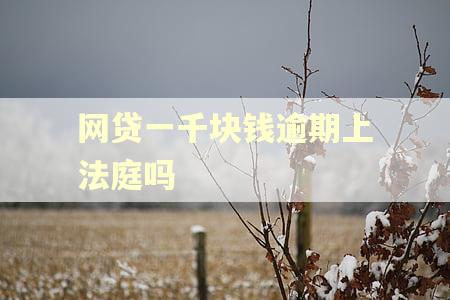 网贷一千块钱逾期上法庭吗