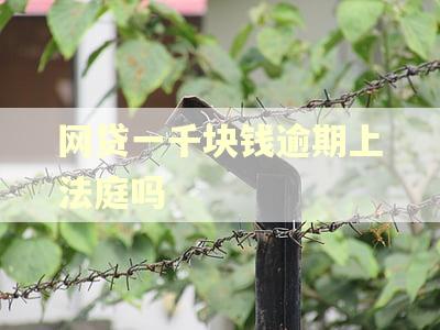 网贷一千块钱逾期上法庭吗 网贷一千块钱逾期上法庭吗