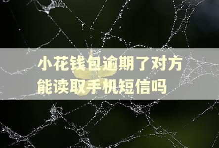 小花钱包逾期了对方能读取手机短信吗