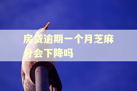 房贷逾期一个月芝麻分会下降吗