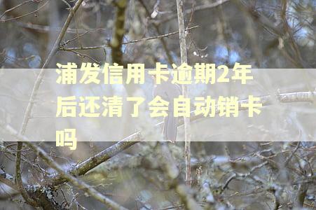 浦发信用卡逾期2年后还清了会自动销卡吗