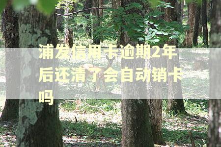 浦发信用卡逾期2年后还清了会自动销卡吗 浦发信用卡逾期2年后还清了会自动销卡吗