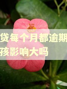 房贷每个月都逾期对小孩影响大吗